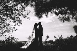 Image post by @roephoto on Instagram