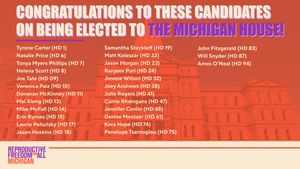 Image post by @reproforallMI on Twitter