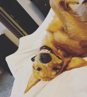 Image post by @yogapartylive on Instagram