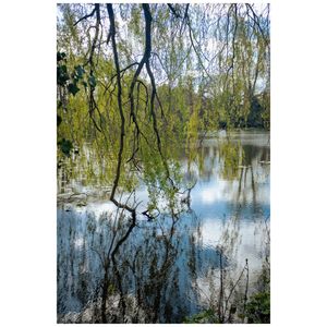 Image post by @waterworthr on Instagram