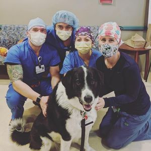 Image post by @pennmedicine on Instagram