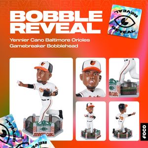 Image post by @focobobbles on Instagram