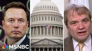 Video post by @msnbc on YouTube