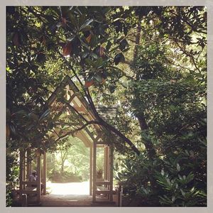 Image post by @kidsgardening on Instagram