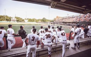 Image post by @osubaseball on Instagram