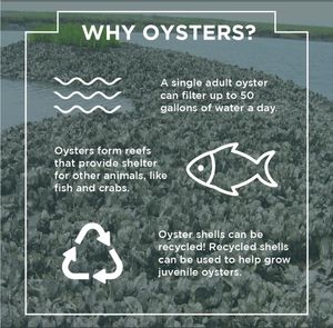 Image post by @toadfishoutfitters on Instagram