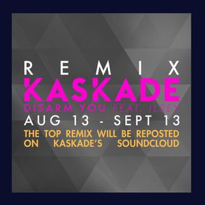 Image post by @kaskade on Instagram
