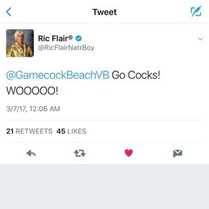 Image post by @gamecockbeachvb on Instagram