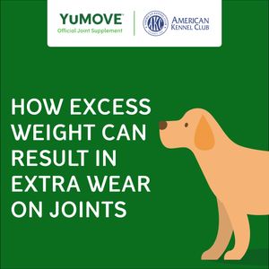 Image post by @YuMOVE.US on Facebook