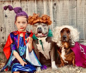Image post by @petsmart on Instagram