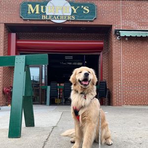 Image post by @murphysbleachers on Instagram