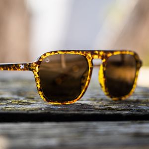 Image post by @knockaround on Instagram