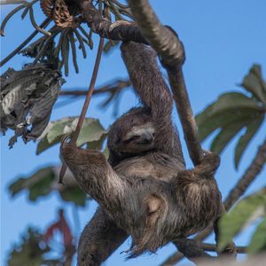 Image post by @animalplanet on Instagram