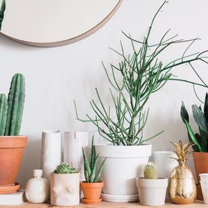 Image post by @aimeemazzenga on Instagram