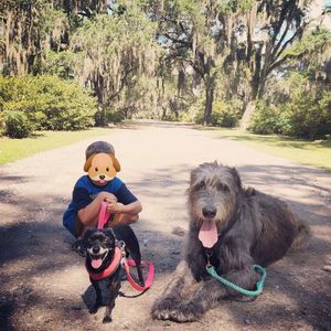 Image post by @thesavannahwolfhound on Instagram