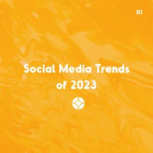 Image post by @stellaragency on Instagram