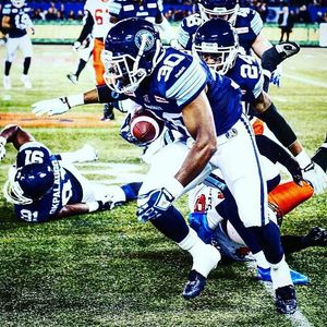 Image post by @torontoargos on Instagram