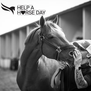 Image post by @pegasusworldcup on Instagram