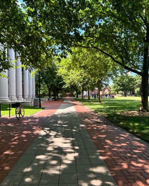 Image post by @udelaware on Instagram