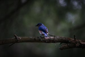 Image post by @nlabrusc on Instagram