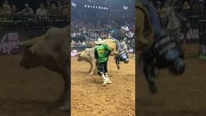 Video post by @pbr on YouTube