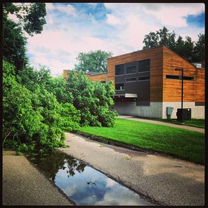 Image post by @gopher_rowing on Instagram