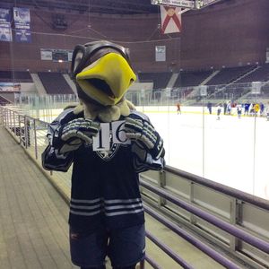 Image post by @pcolaiceflyers on Instagram