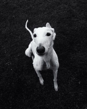 Image post by @vsco on Instagram