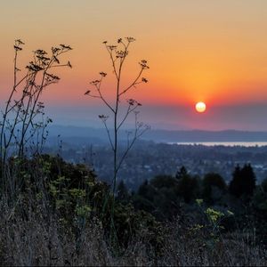 Image post by @ucsc on Instagram