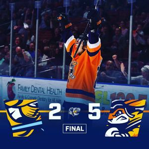 Image post by @swamprabbits on Instagram