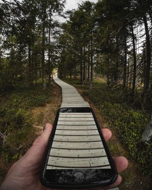 Image post by @moment on Instagram