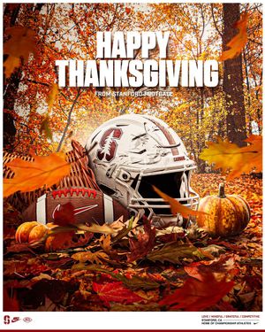 Image post by @StanfordFBrec on Twitter