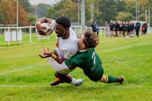 Image post by @bucssport on Instagram