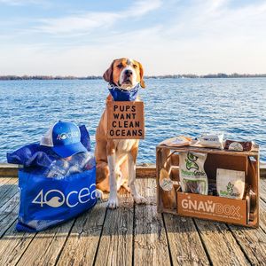 Image post by @4ocean on Instagram