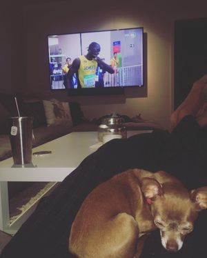 Image post by @ddwyer14 on Instagram