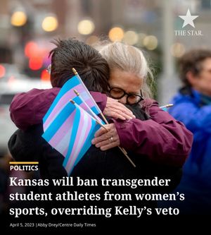 Image post by @thekansascitystar on Instagram