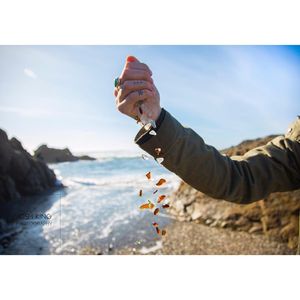 Image post by @joshkingphotography on Instagram