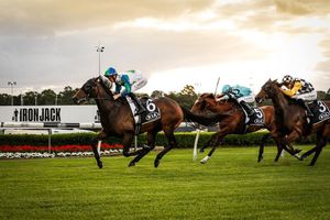Image post by @australianturfclub on Instagram