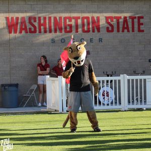 Image post by @zzucru on Instagram