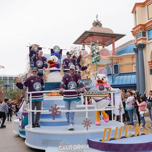 Image post by @anaheimducks on Instagram