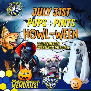 Image post by @burlington_bees on Instagram