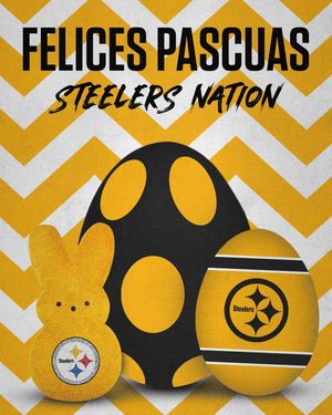 Image post by @lossteelers on Instagram