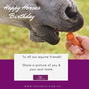Image post by @equineidsolutions on Instagram