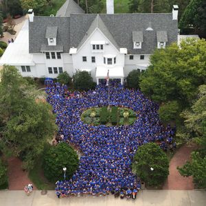 Image post by @hofstrau on Instagram
