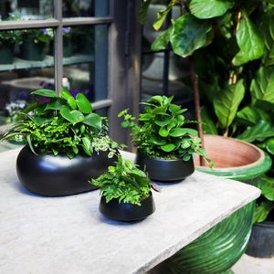 Image post by @rogersgardens on Instagram
