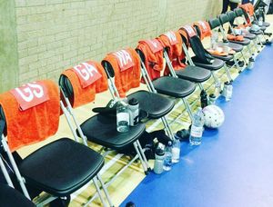 Image post by @walesnetball_ on Instagram
