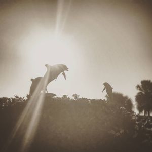 Image post by @visitsarasotacounty on Instagram