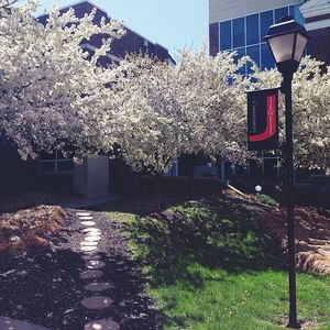 Image post by @williamjewellcollege on Instagram
