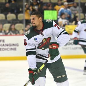 Image post by @mnwild on Twitter