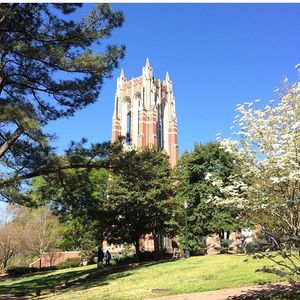 Image post by @spiderathletics on Instagram